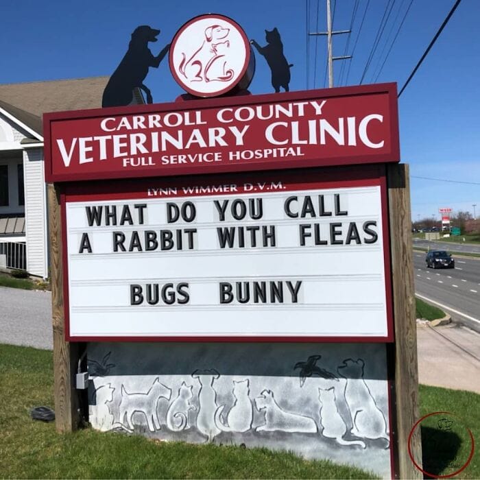 Hoppy Easter - Funny Bunny Sign
