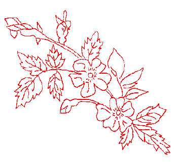Redwork Technique Tips - Flower Branch